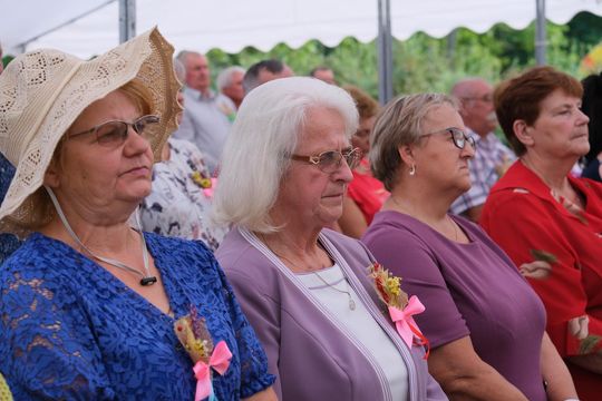 Dożynki w Rejowcu 2025. Dziękowali za plony i bawili się [GALERIA ZDJĘĆ]