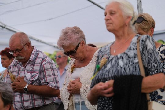 Dożynki w Rejowcu 2025. Dziękowali za plony i bawili się [GALERIA ZDJĘĆ]