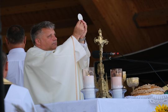 Dożynki w Rejowcu 2025. Dziękowali za plony i bawili się [GALERIA ZDJĘĆ]