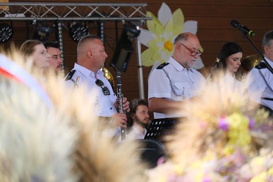 Dożynki w Rejowcu 2025. Dziękowali za plony i bawili się [GALERIA ZDJĘĆ]