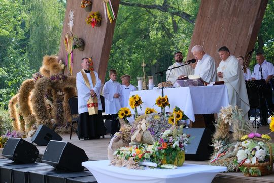 Dożynki w Rejowcu 2025. Dziękowali za plony i bawili się [GALERIA ZDJĘĆ]