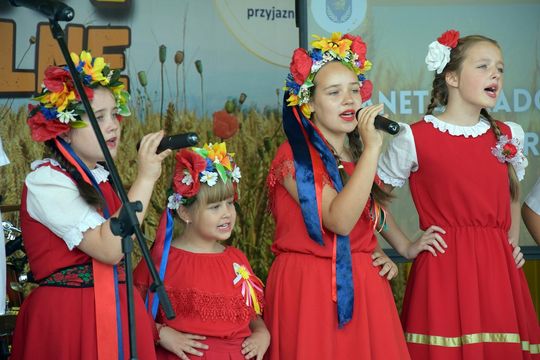 Wyjątkowe dożynki w gminie Wierzbica! [GALERIA ZDJĘĆ]