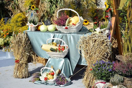 Wyjątkowe dożynki w gminie Wierzbica! [GALERIA ZDJĘĆ]