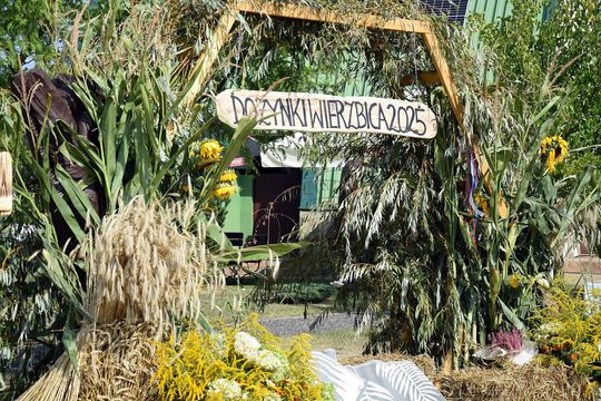 Wyjątkowe dożynki w gminie Wierzbica! [GALERIA ZDJĘĆ]