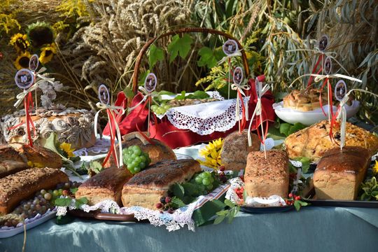 Wyjątkowe dożynki w gminie Wierzbica! [GALERIA ZDJĘĆ]