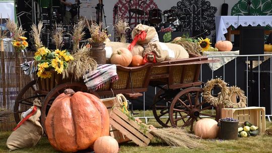 Dożynki powiatu krasnostawskiego w Stadninie Koni w Białce cz. II [GALERIA ZDJĘĆ]