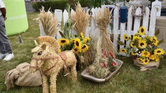 Dożynki powiatu krasnostawskiego w Stadninie Koni w Białce cz. II [GALERIA ZDJĘĆ]