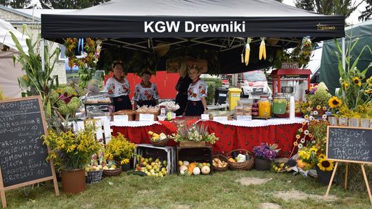 Dożynki powiatu krasnostawskiego w Stadninie Koni w Białce cz. II [GALERIA ZDJĘĆ]