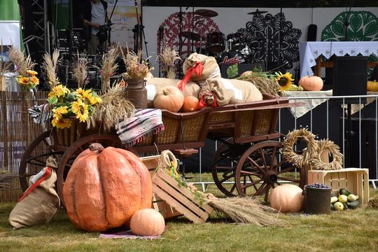 Dożynki powiatu krasnostawskiego w Stadninie Koni w Białce cz. II [GALERIA ZDJĘĆ]