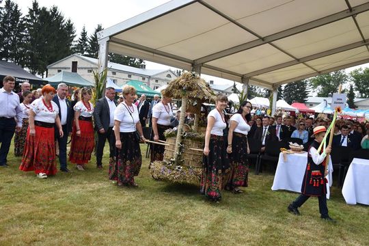 Dożynki powiatu krasnostawskiego w Stadninie Koni w Białce cz. II [GALERIA ZDJĘĆ]