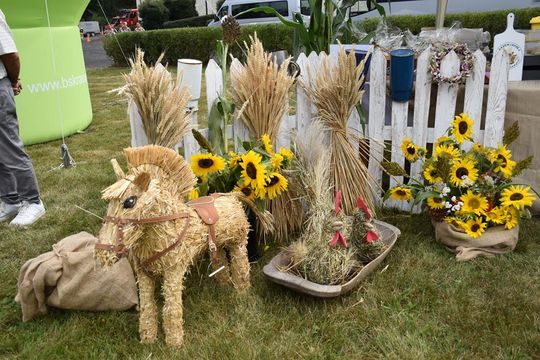 Dożynki powiatu krasnostawskiego w Stadninie Koni w Białce cz. II [GALERIA ZDJĘĆ]