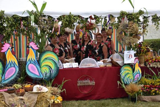 Dożynki powiatu krasnostawskiego w Stadninie Koni w Białce cz. II [GALERIA ZDJĘĆ]