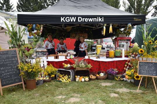 Dożynki powiatu krasnostawskiego w Stadninie Koni w Białce cz. II [GALERIA ZDJĘĆ]