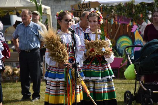 Dożynki powiatu krasnostawskiego w Stadninie Koni w Białce cz. II [GALERIA ZDJĘĆ]