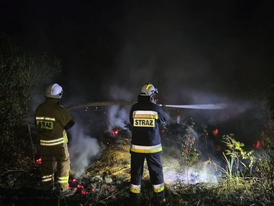 Pow. włodawski. Płonęły bele słomy, trawy i kompostownik [GALERIA ZDJĘĆ]