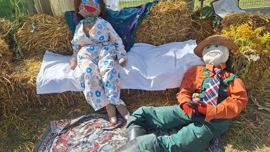 Pow. chełmski. Wszystkie witacze zostaną nagrodzone na powiatowych dożynkach w Nowinach [GALERIA ZDJĘĆ]