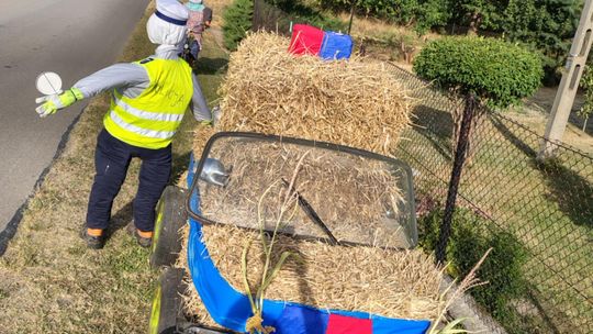 Pow. chełmski. Wszystkie witacze zostaną nagrodzone na powiatowych dożynkach w Nowinach [GALERIA ZDJĘĆ]