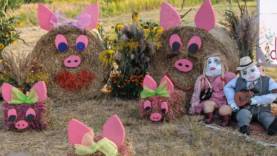 Pow. chełmski. Wszystkie witacze zostaną nagrodzone na powiatowych dożynkach w Nowinach [GALERIA ZDJĘĆ]