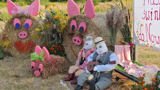 Pow. chełmski. Wszystkie witacze zostaną nagrodzone na powiatowych dożynkach w Nowinach [GALERIA ZDJĘĆ]