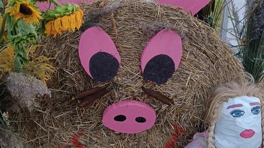 Pow. chełmski. Wszystkie witacze zostaną nagrodzone na powiatowych dożynkach w Nowinach [GALERIA ZDJĘĆ]