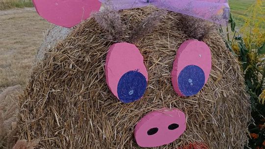 Pow. chełmski. Wszystkie witacze zostaną nagrodzone na powiatowych dożynkach w Nowinach [GALERIA ZDJĘĆ]