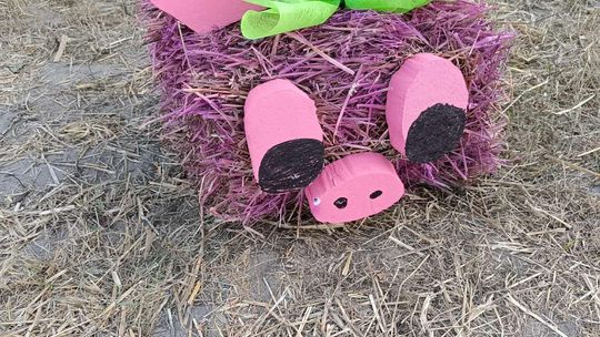 Pow. chełmski. Wszystkie witacze zostaną nagrodzone na powiatowych dożynkach w Nowinach [GALERIA ZDJĘĆ]