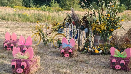 Pow. chełmski. Wszystkie witacze zostaną nagrodzone na powiatowych dożynkach w Nowinach [GALERIA ZDJĘĆ]