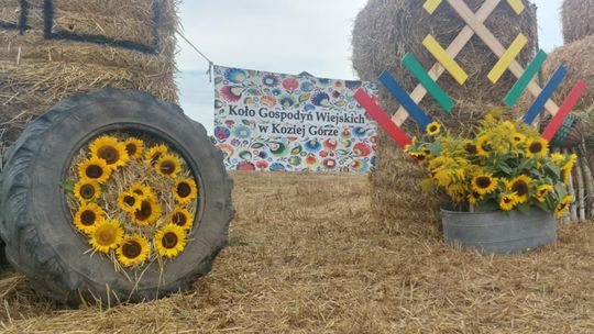 Pow. chełmski. Wszystkie witacze zostaną nagrodzone na powiatowych dożynkach w Nowinach [GALERIA ZDJĘĆ]