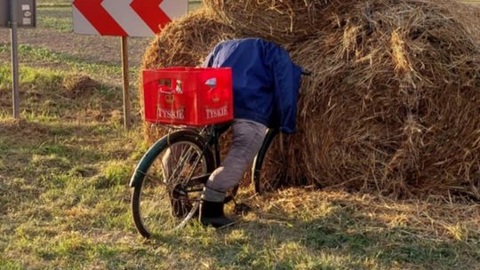 Pow. chełmski. Wszystkie witacze zostaną nagrodzone na powiatowych dożynkach w Nowinach [GALERIA ZDJĘĆ]
