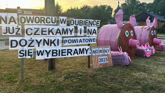 Pow. chełmski. Wszystkie witacze zostaną nagrodzone na powiatowych dożynkach w Nowinach [GALERIA ZDJĘĆ]