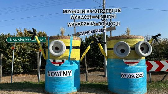 Pow. chełmski. Wszystkie witacze zostaną nagrodzone na powiatowych dożynkach w Nowinach [GALERIA ZDJĘĆ]