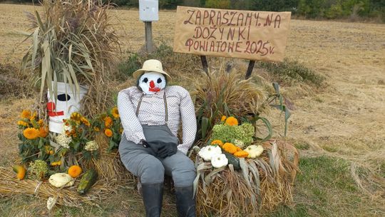 Pow. chełmski. Wszystkie witacze zostaną nagrodzone na powiatowych dożynkach w Nowinach [GALERIA ZDJĘĆ]