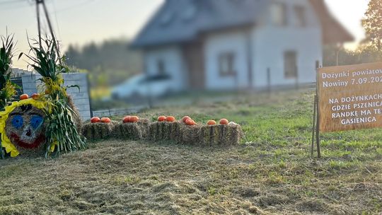 Pow. chełmski. Wszystkie witacze zostaną nagrodzone na powiatowych dożynkach w Nowinach [GALERIA ZDJĘĆ]