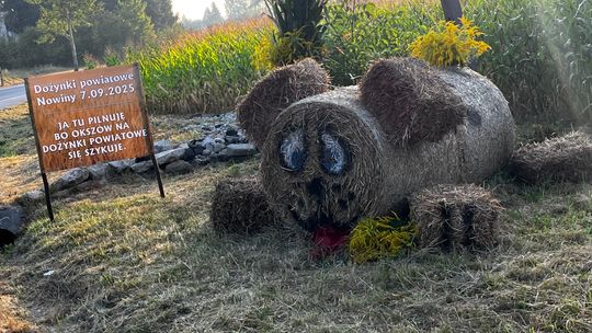 Pow. chełmski. Wszystkie witacze zostaną nagrodzone na powiatowych dożynkach w Nowinach [GALERIA ZDJĘĆ]