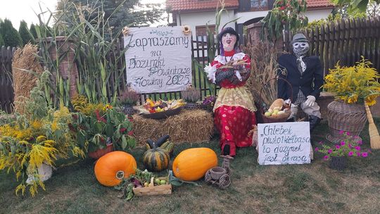 Pow. chełmski. Wszystkie witacze zostaną nagrodzone na powiatowych dożynkach w Nowinach [GALERIA ZDJĘĆ]