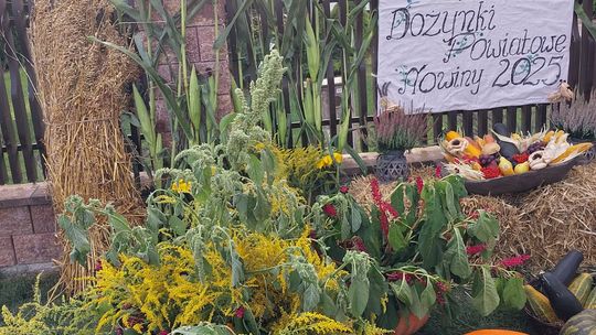 Pow. chełmski. Wszystkie witacze zostaną nagrodzone na powiatowych dożynkach w Nowinach [GALERIA ZDJĘĆ]