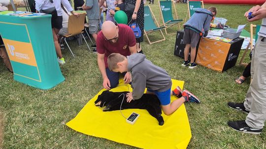 Chełm. Naukowy Piknik Rodzinny w kampusie PANS. To był dzień pełen nauki i zabawy [GALERIA ZDJĘĆ]