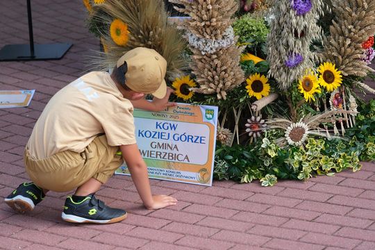 Dożynki powiatu chełmskiego 2025. Mieszkańcy dziękowali za plony cz. I [GALERIA ZDJĘĆ]