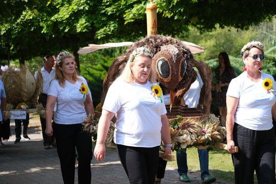 Dożynki powiatu chełmskiego 2025. Mieszkańcy dziękowali za plony cz. I [GALERIA ZDJĘĆ]