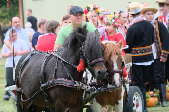 Dożynki powiatu chełmskiego 2025. Mieszkańcy dziękowali za plony cz. I [GALERIA ZDJĘĆ]