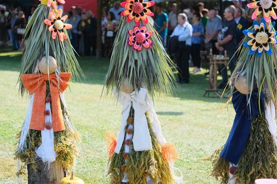 Dożynki powiatu chełmskiego 2025. Mieszkańcy dziękowali za plony cz. II [GALERIA ZDJĘĆ]