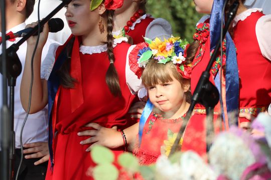 Dożynki powiatu chełmskiego 2025. Mieszkańcy dziękowali za plony cz. III [GALERIA ZDJĘĆ]