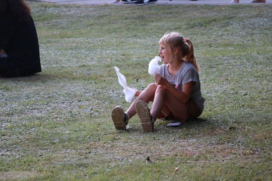 Dożynki powiatu chełmskiego 2025. Mieszkańcy dziękowali za plony cz. III [GALERIA ZDJĘĆ]