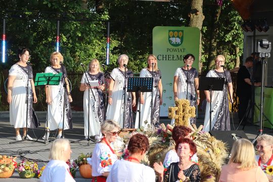 Dożynki powiatu chełmskiego 2025. Mieszkańcy dziękowali za plony cz. III [GALERIA ZDJĘĆ]