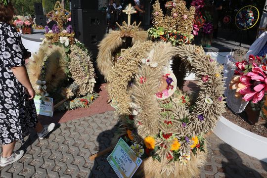 Dożynki powiatu chełmskiego 2025. Mieszkańcy dziękowali za plony cz. III [GALERIA ZDJĘĆ]