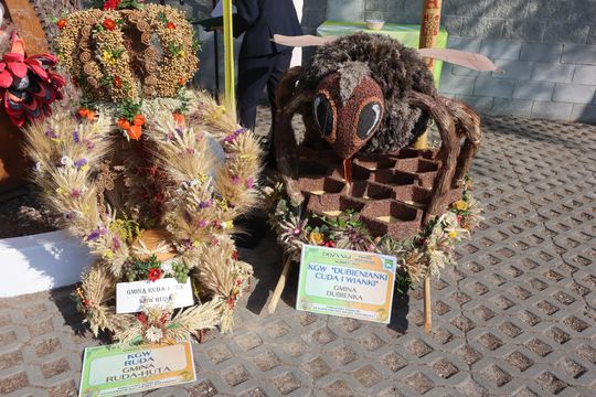 Dożynki powiatu chełmskiego 2025. Mieszkańcy dziękowali za plony cz. III [GALERIA ZDJĘĆ]