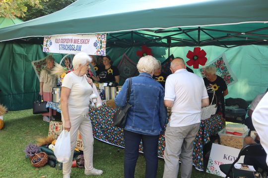 Dożynki powiatu chełmskiego 2025. Mieszkańcy dziękowali za plony cz. III [GALERIA ZDJĘĆ]