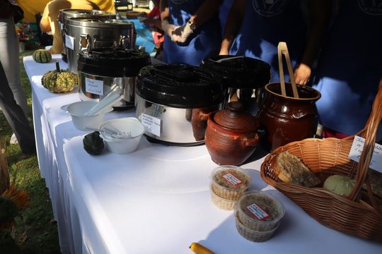 Dożynki powiatu chełmskiego 2025. Mieszkańcy dziękowali za plony cz. III [GALERIA ZDJĘĆ]