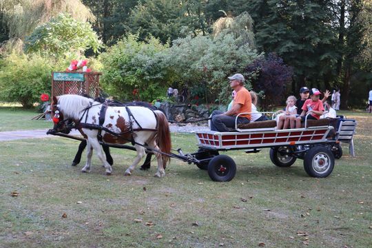 Dożynki powiatu chełmskiego 2025. Mieszkańcy dziękowali za plony cz. III [GALERIA ZDJĘĆ]
