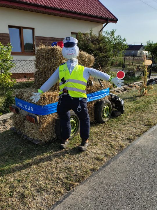 Pow. chełmski. Wszystkie witacze zostaną nagrodzone na powiatowych dożynkach w Nowinach [GALERIA ZDJĘĆ]